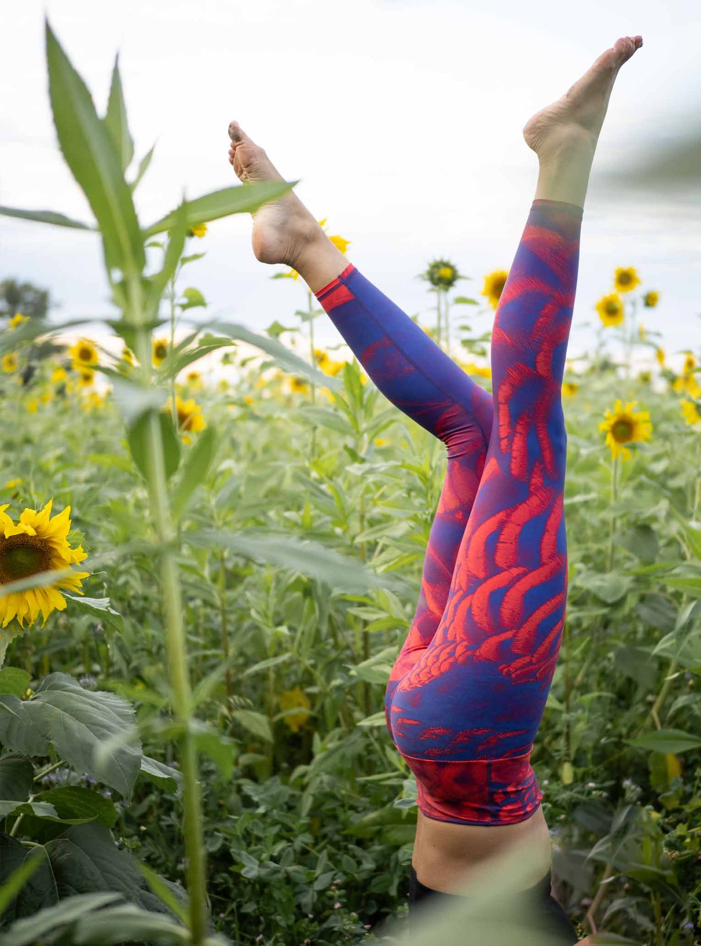 ARCTIC FLAMINGO Purple Bird Yoga Leggings – PLANETICS | Sport