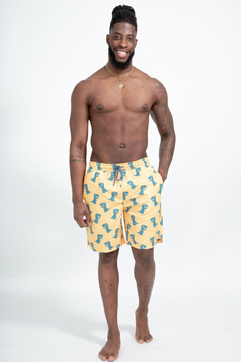 Faro Boardshorts - Dino Print