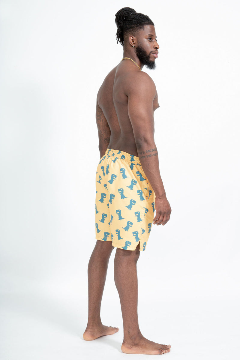 Faro Boardshorts - Dino Print