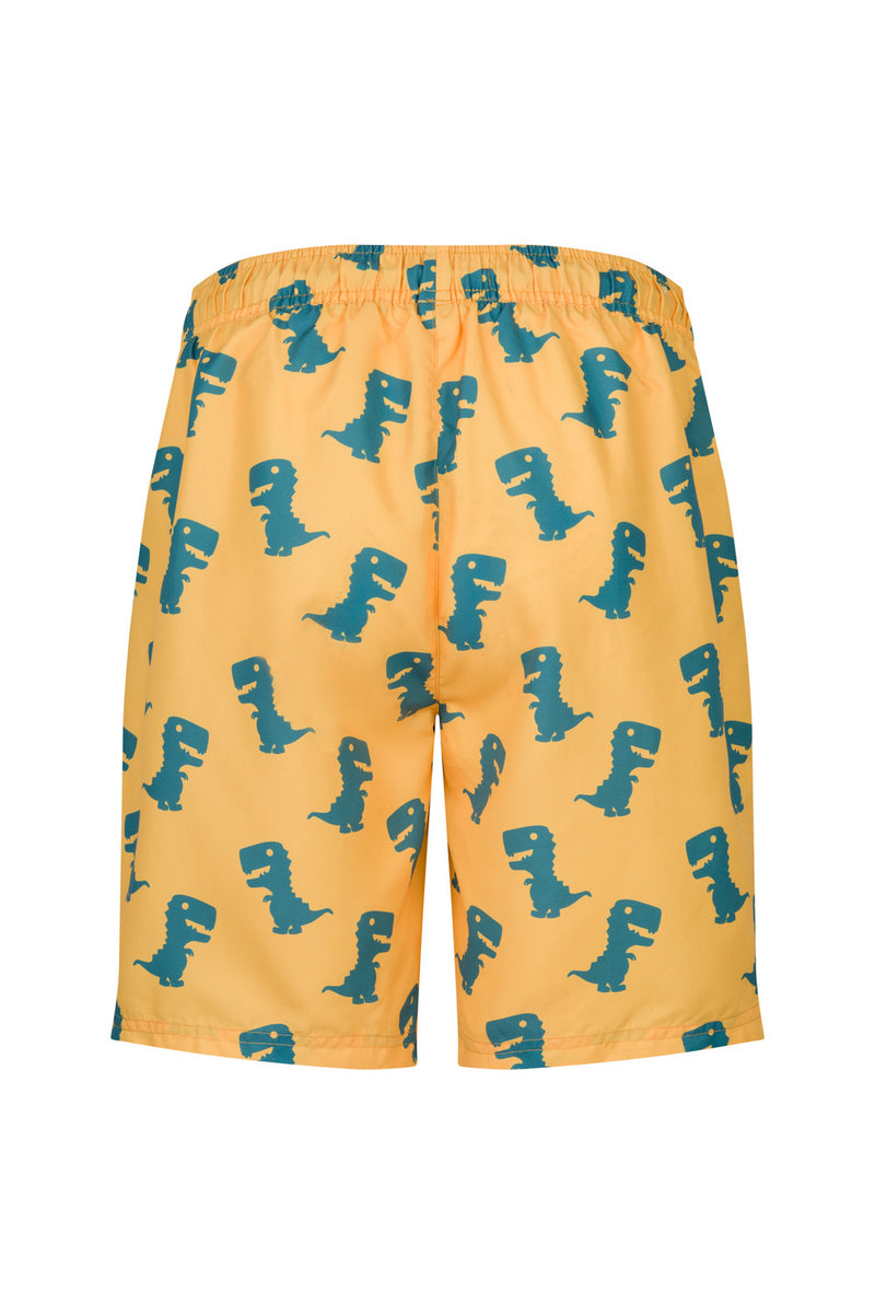 Faro Boardshorts - Dino Print