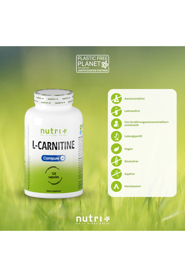 L-Carnitin Kapseln (Carnipure®)