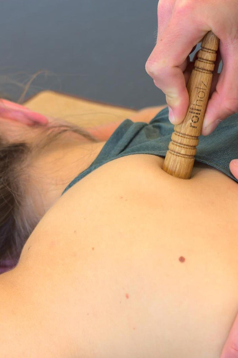 rollholz Triggerstift